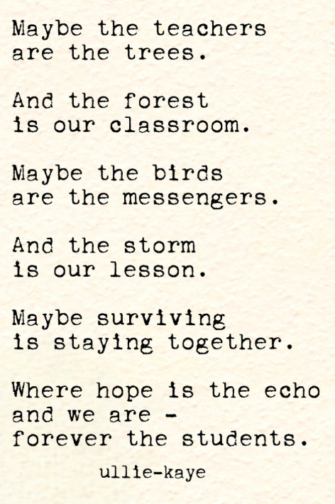 maybe the teachers are the trees