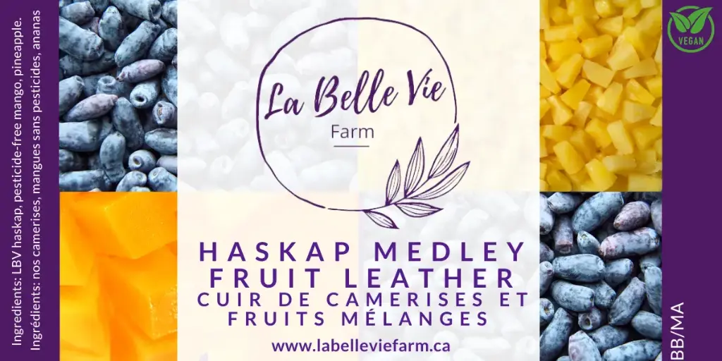Fruit Leather - Haskap Medley